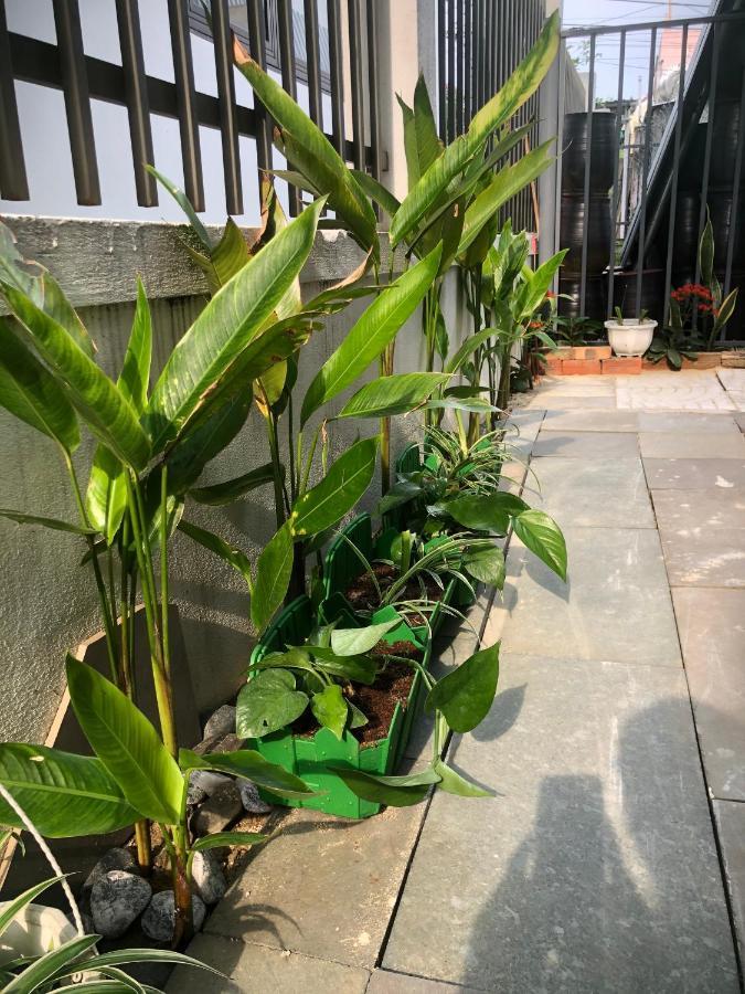 Homestay Phuong House Χόι Αν Εξωτερικό φωτογραφία