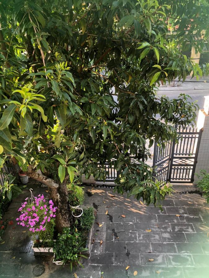 Homestay Phuong House Χόι Αν Εξωτερικό φωτογραφία